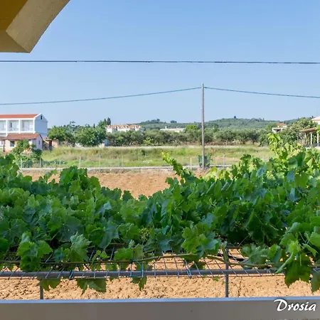 Apartamento Drosia Kypseli