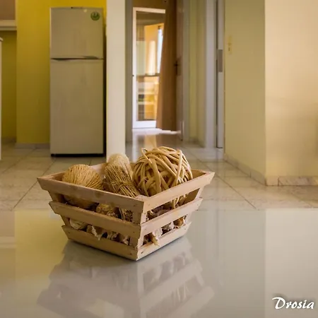 Drosia Apartamento *